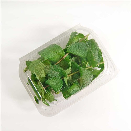 Hinged Lid Container Fresh View Salad Recycled PET Clear Small