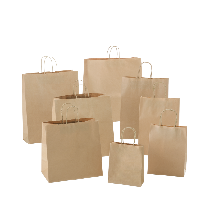 JUNIOR PAPER TWIST HANDLE BAG