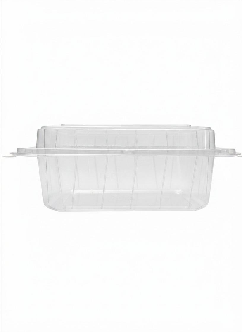 Keep Fresh EXTRA LARGE Hinged Container