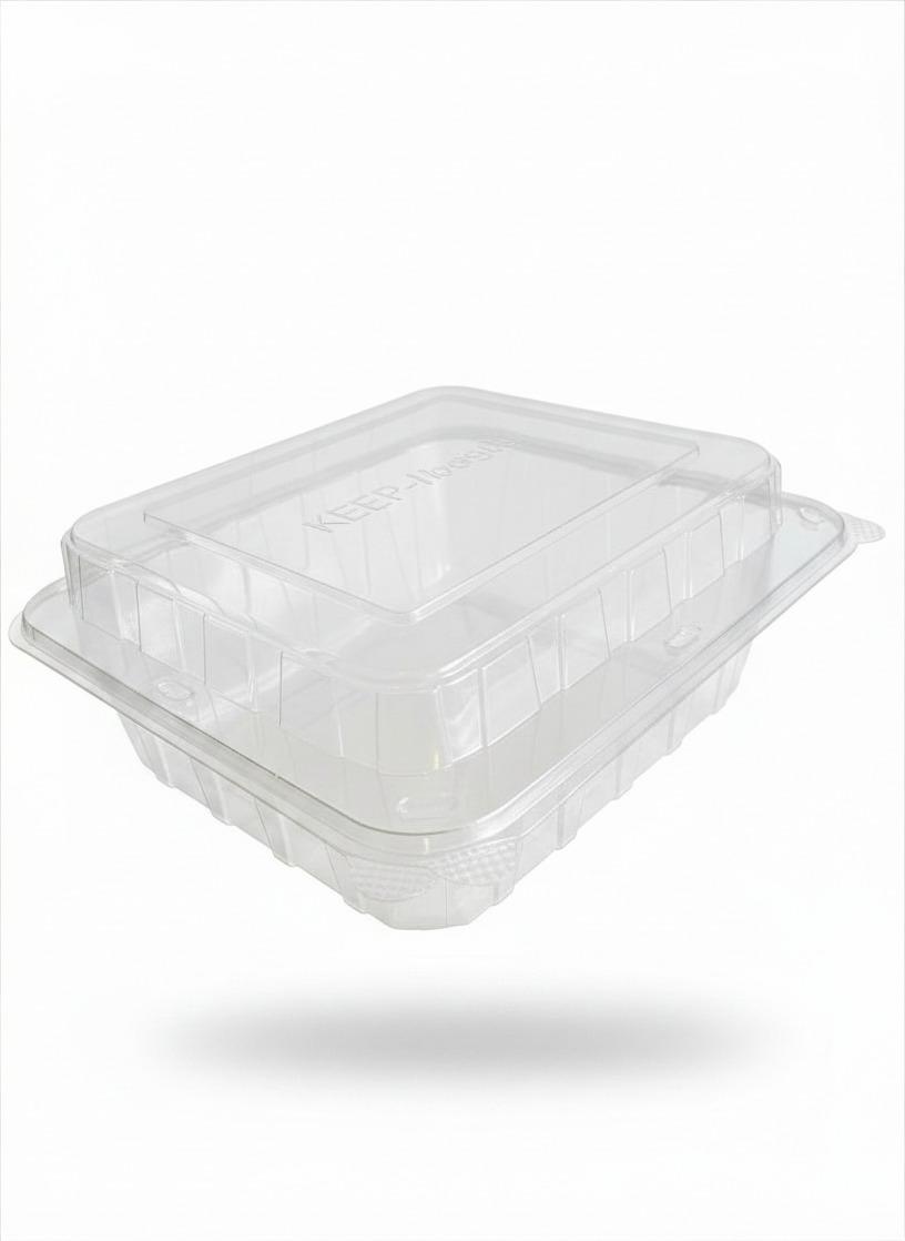 Keep Fresh EXTRA LARGE Hinged Container