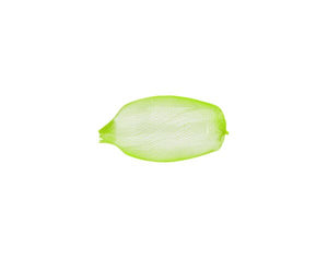 compostable net 38cm yellow 1000pc/ctn - Packware